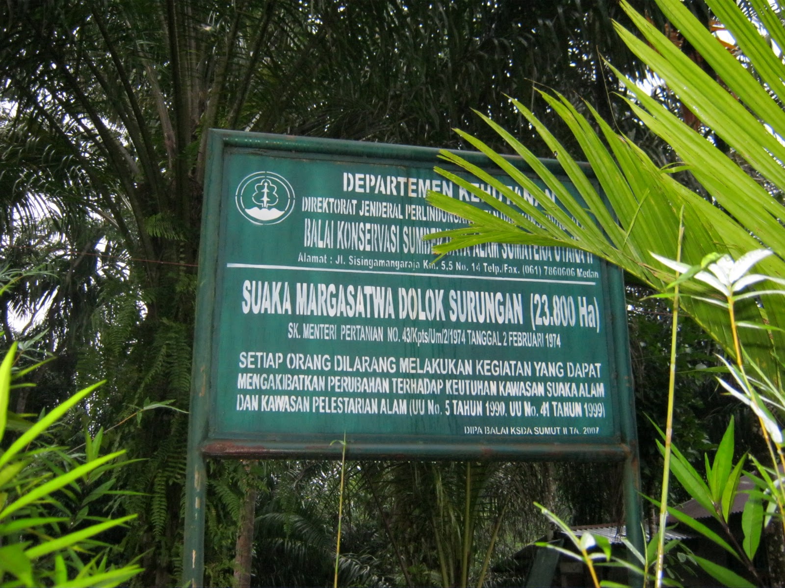 Suaka Margasatwa Dolok Surungan: Pelestarian Keanekaragaman Hayati di Tengah Tantangan dan Kontroversi