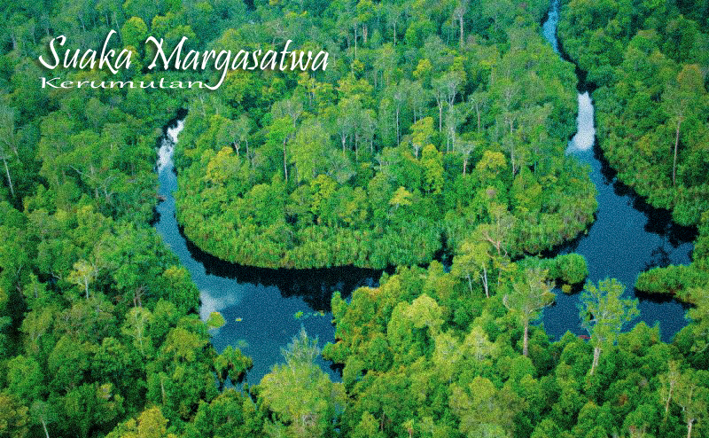 Suaka Margasatwa Kerumutan: Benteng Konservasi Keanekaragaman Hayati di Riau
