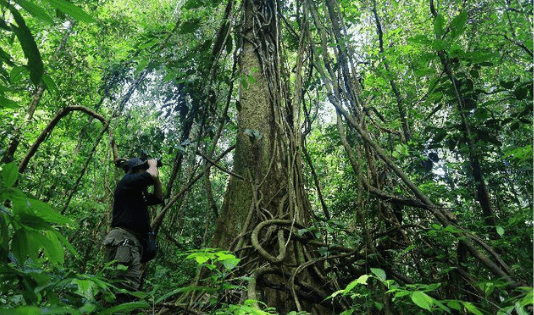 Suaka Margasatwa Barumun: Permata Konservasi di Sumatera Utara