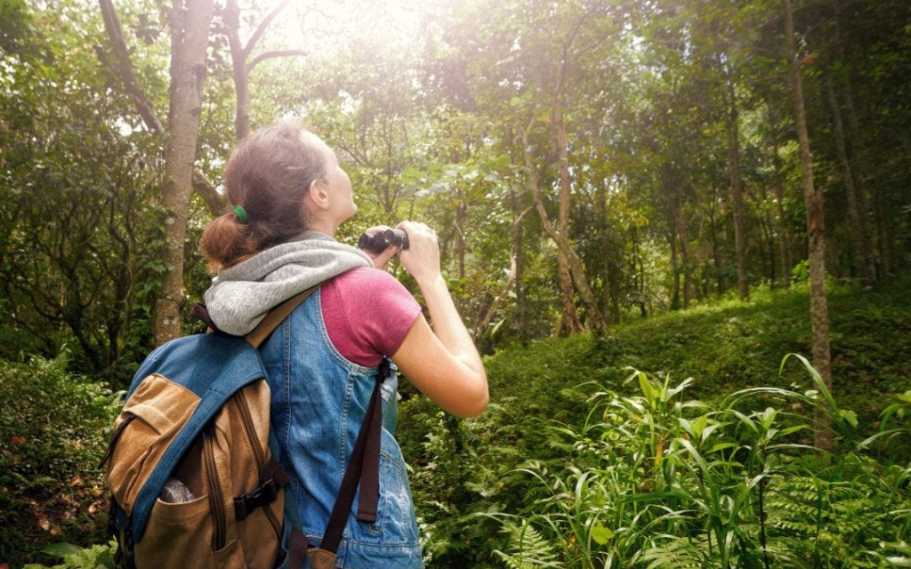 6 Suaka Marga Satwa Dunia yang Sedang Terancam Punah Terpenting yang Harus Kamu Ketahui di 2025