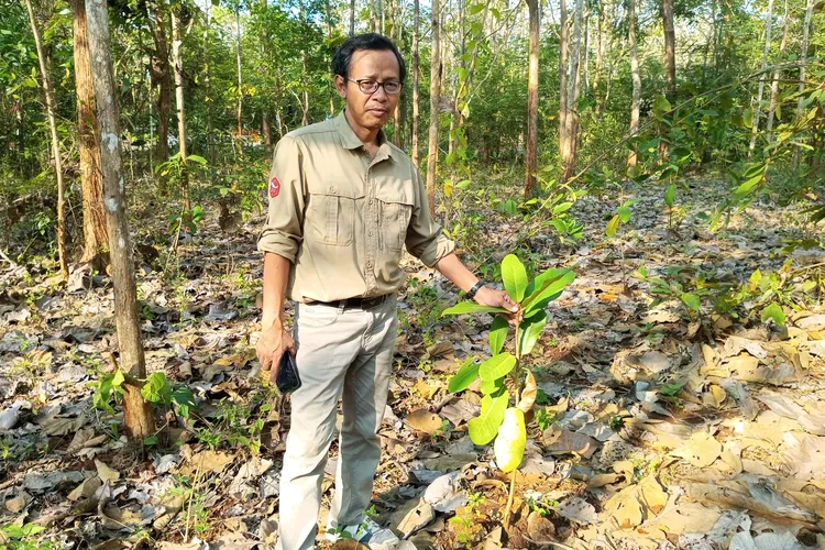 Tragedi Bisu di Balik Konservasi Satwa: Realitas Kelam 2025