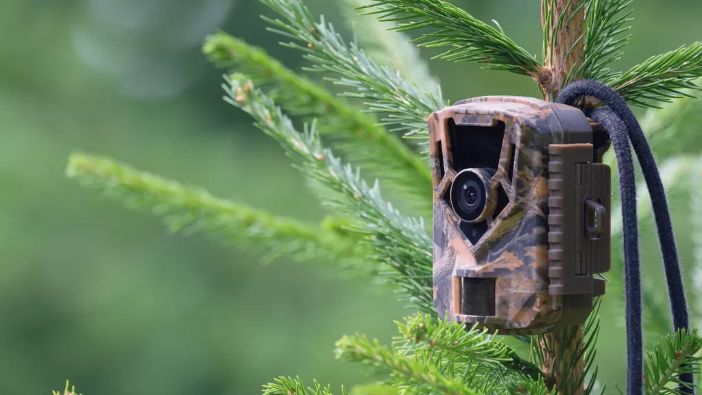 Peran Edukasi dan Penelitian di Kawasan Suaka Margasatwa untuk Konservasi