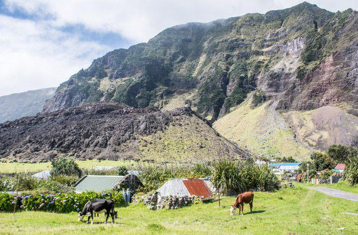 Pulau Terpencil Dunia, Surga Satwa Langka Atlantik