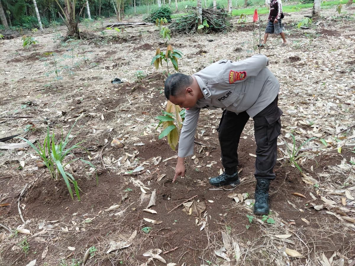 BKSDA Pastikan Jejak Harimau Sumatera di Lampung