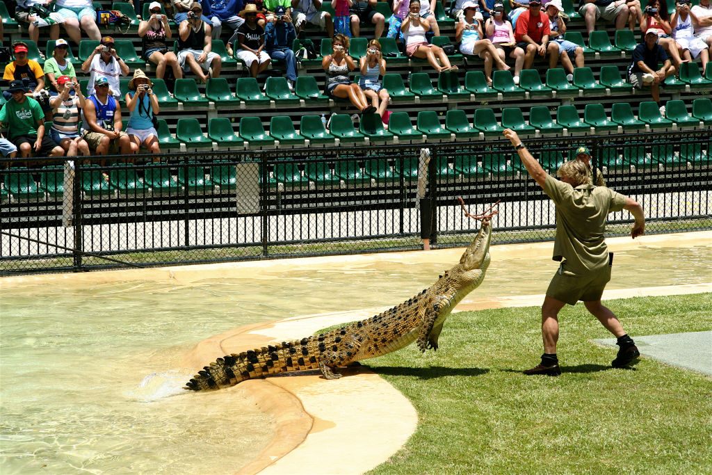 Mengenal Australia Zoo, Kebun Binatang Steve Irwin yang Legendaris