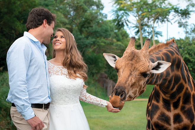 Mengenal Australia Zoo, Kebun Binatang Steve Irwin yang Legendaris