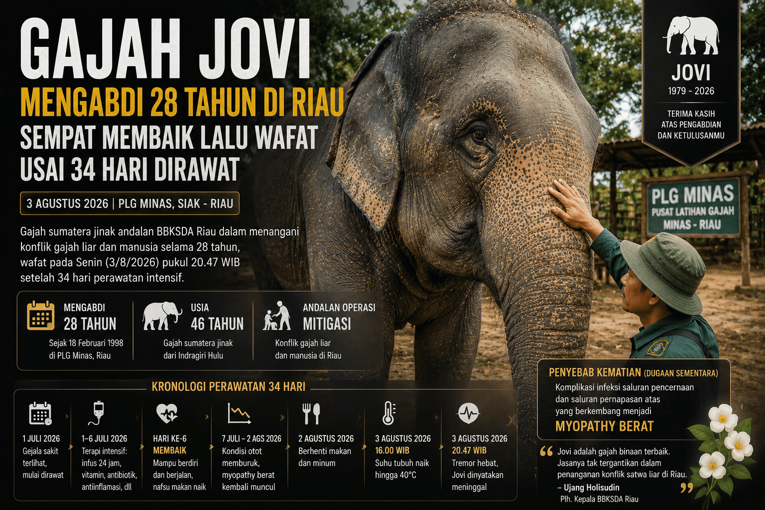 Gajah Jovi Mengabdi 28 Tahun di Riau, Sempat Membaik lalu Wafat Usai 34 Hari Dirawat