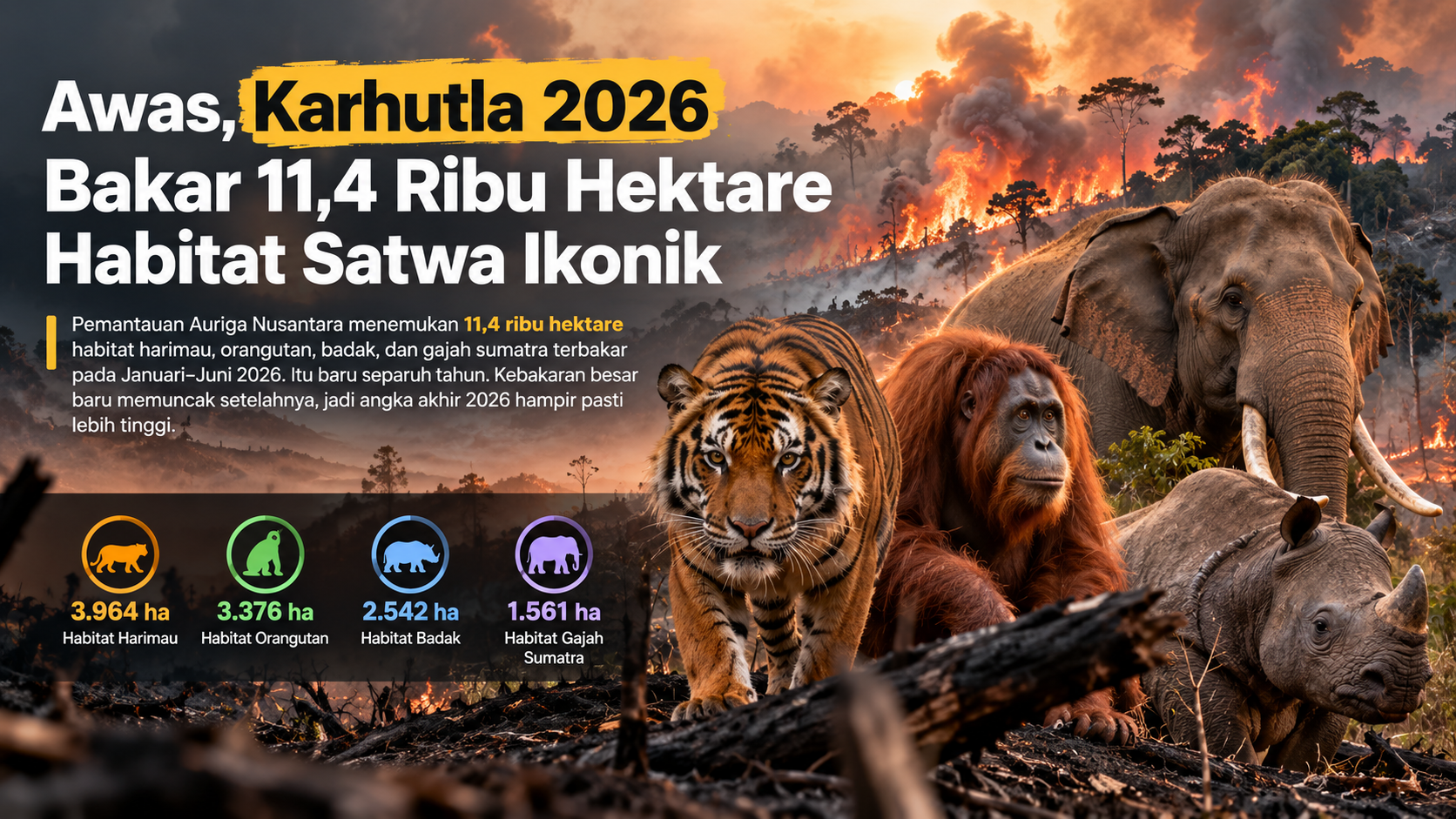 Awas, Karhutla 2026 Bakar 11,4 Ribu Hektare Habitat Satwa Ikonik